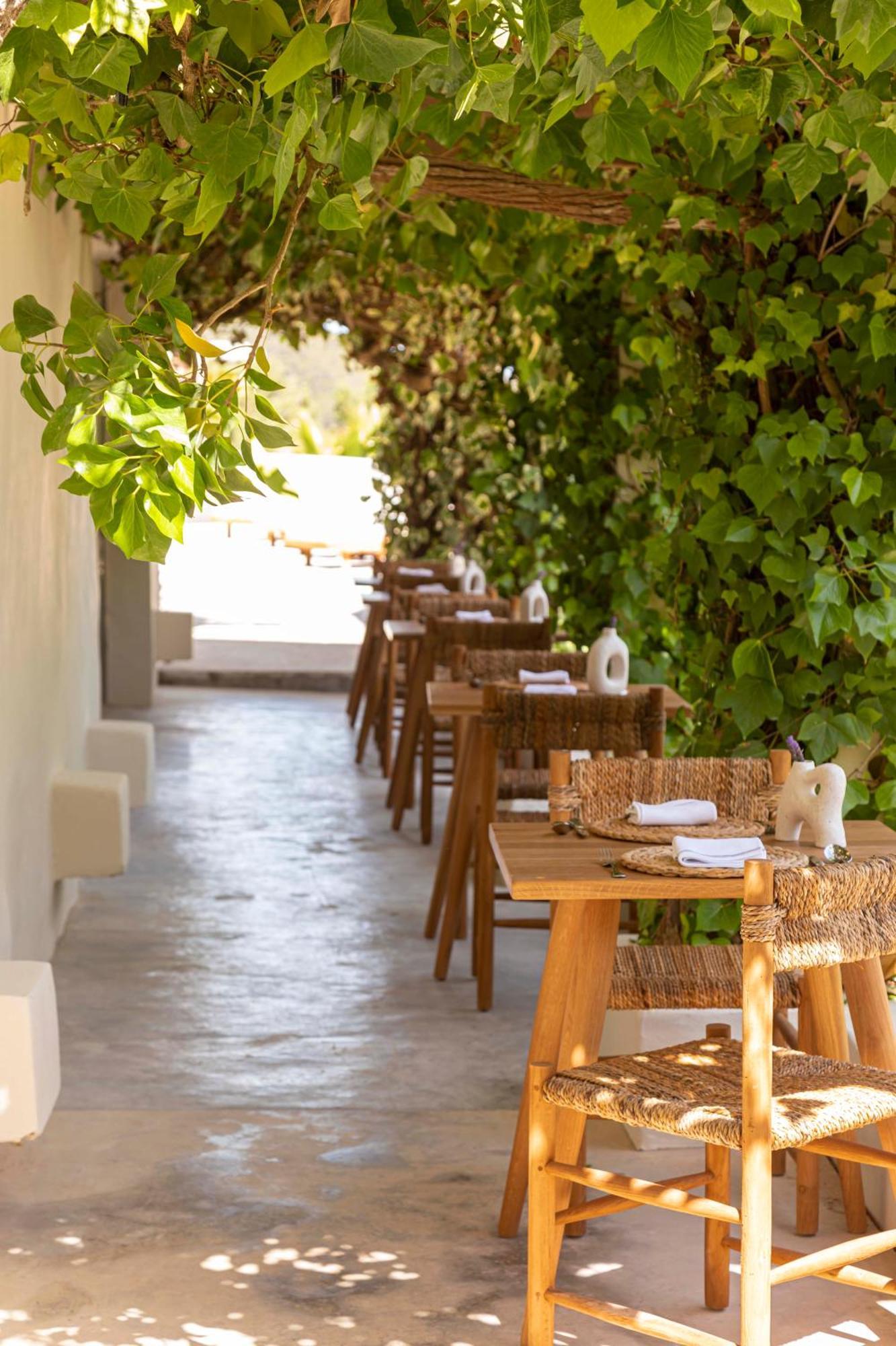 Boutique Hotel Jardines De Palerm San José 外观 照片